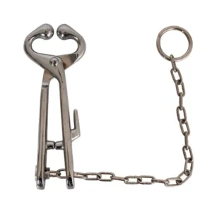 veterinary-bull-holder-with-chain