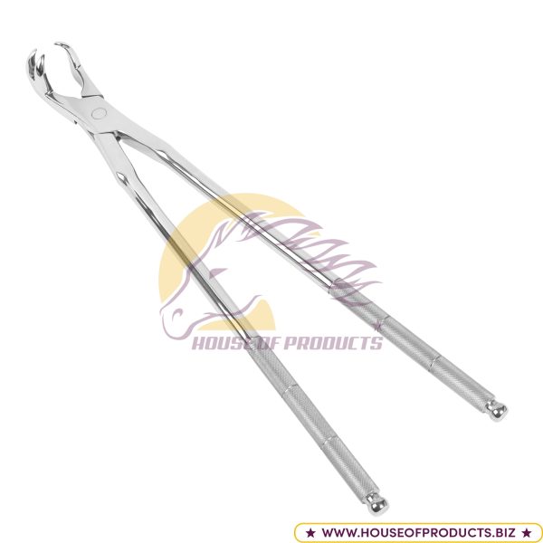 Three Root Forcep On Side 5402