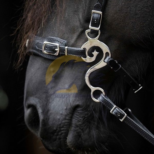 Music Hackamore shanks 1a